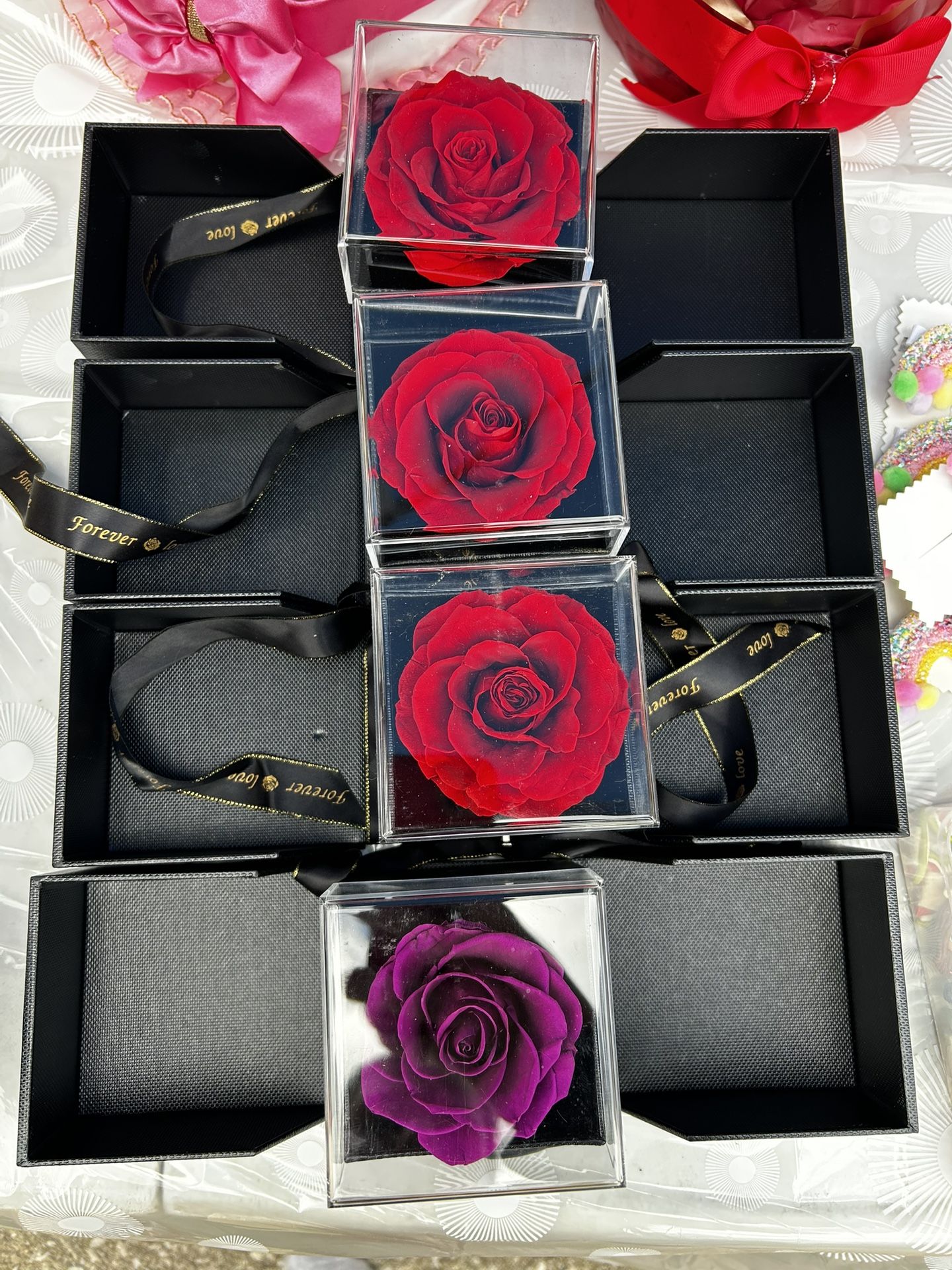 Eternal Roses