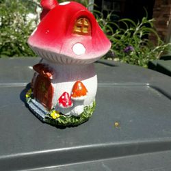 Fairy HOME $10