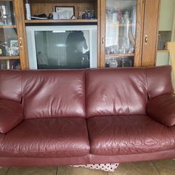 Leather Couches