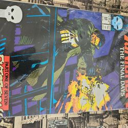 Punisher - Final Days 7 Book Series