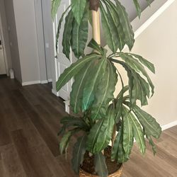 Artificial Tree/plant