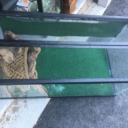 Medium Reptile Tank