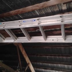 20 Ft Werner Ladder