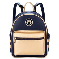 Disney Backpack
