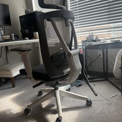 Autonomous Ergochair 2