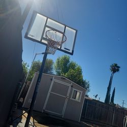 54 Inch Lifetime Shatterproof