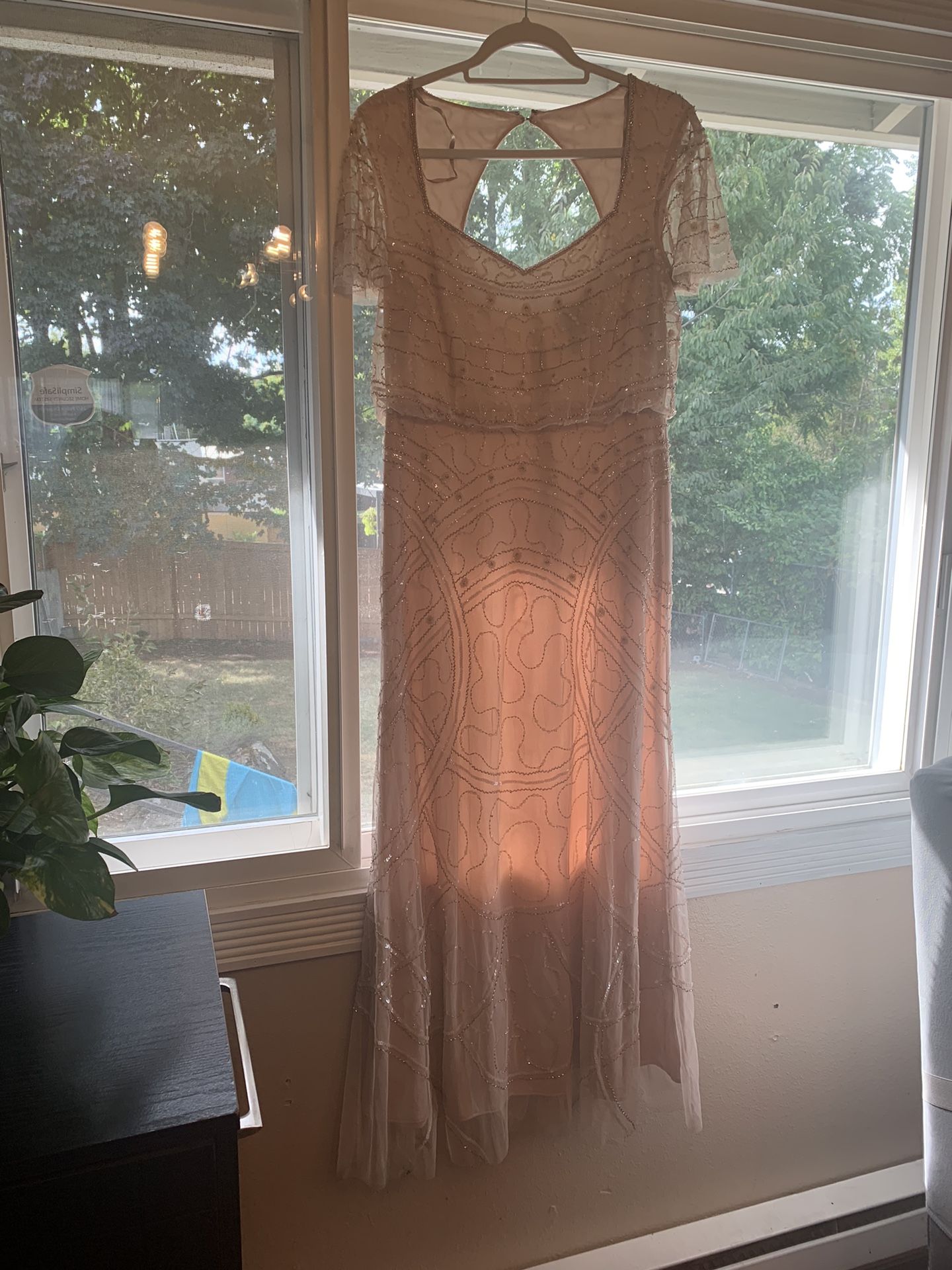 Adrianna Papell Blush Dress