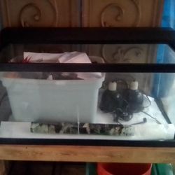 Large Fish Tank With Stand/Accessories 