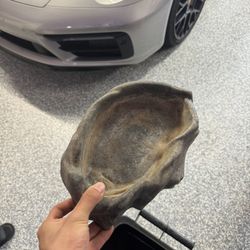 Snake wood, rock water bowl