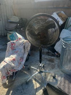 Fan
