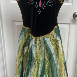 Adult Size Small Frozen Costume Just $5