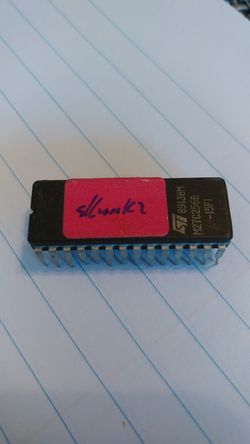 Chip