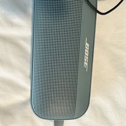 Bose Link Flex 