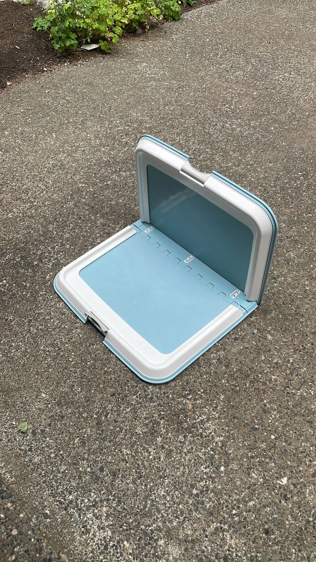 Dog Pee Tray