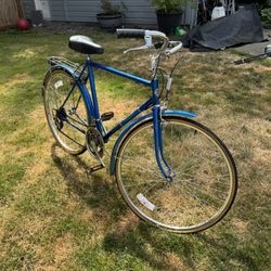 Brittany, Free Spirit Bike