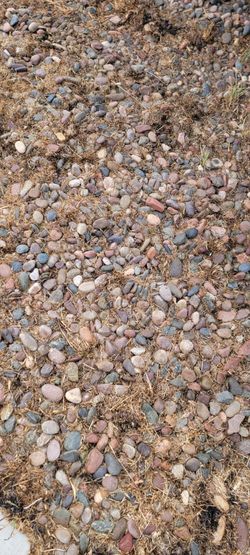 Free rocks