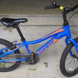 24" Giant XTC Jr Bike