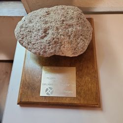 Display of Part Of Mount. St. Helen's Volcanic  Rock