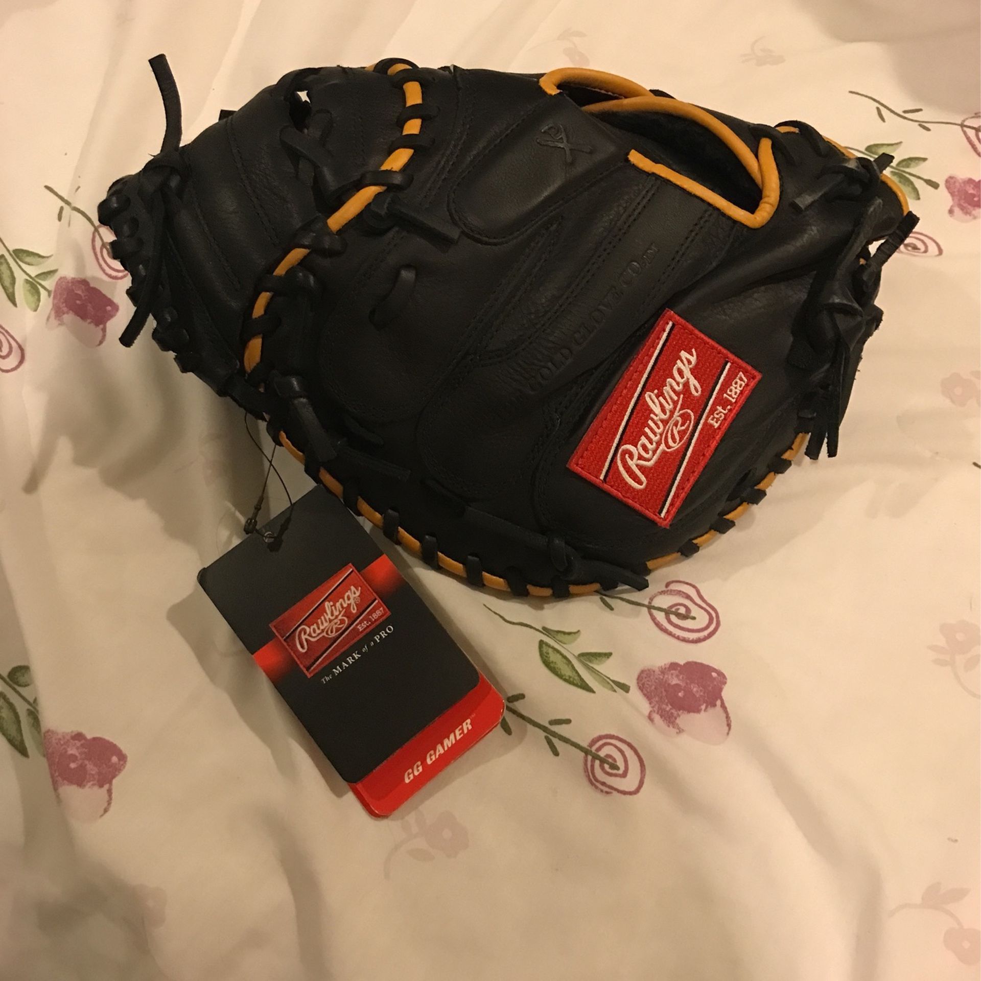 baseball catcher's glove