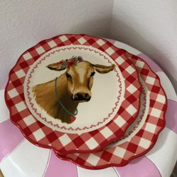 PIONEER WOMAN PLATES X2 