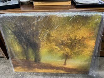 Large 30x40” tree landscape sunset canvas wall art decor p/u Willow Grove or Jamison PA 