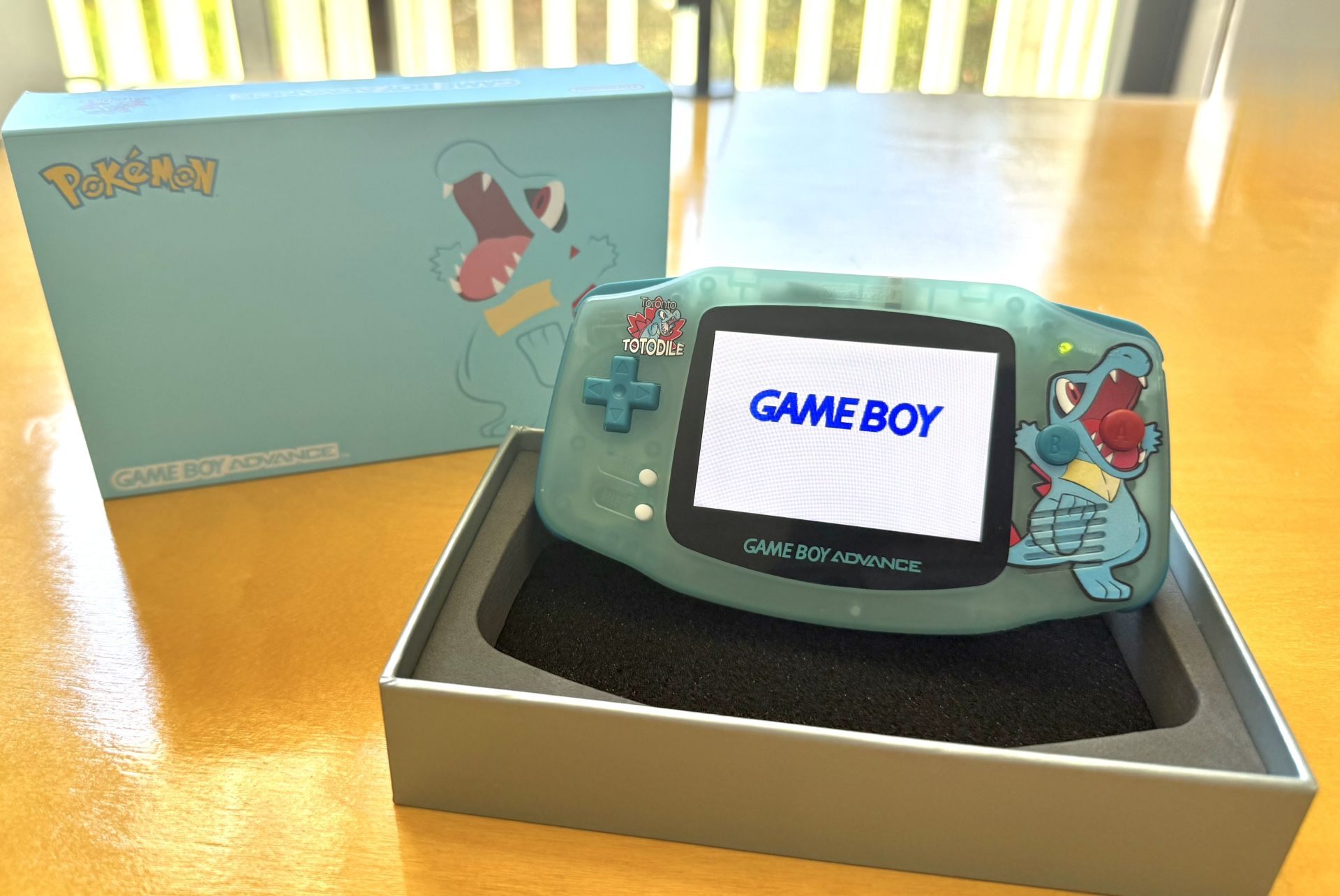 Custom Totodile Gameboy Advance UV Shell IPS Screen USB C Charging