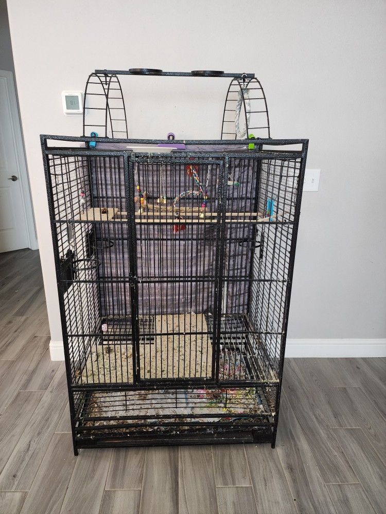 Bird Cage