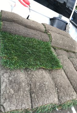 Sod/Grass