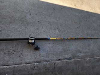 Penn baja  special rod and reel combo