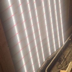 Indoor Led Grow Lights