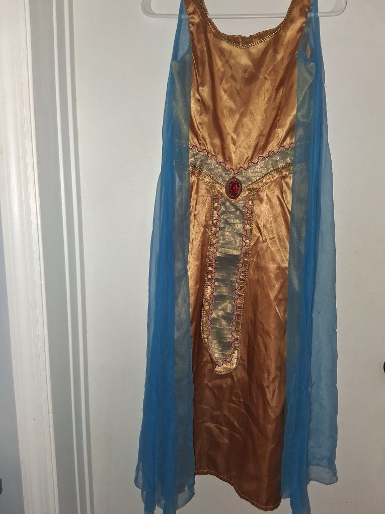 Girl's Halloween Costume Dress