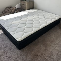 Band new QUEEN MATTRESS