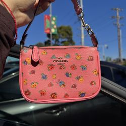 Coach Mini 