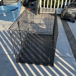Dog training, cage, new condition make offer