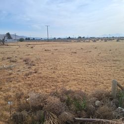 Land for lease/rent