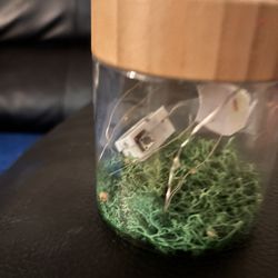 Worm And Butterfly Jar