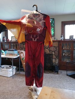 Bakugan Dragonoid Halloween costume