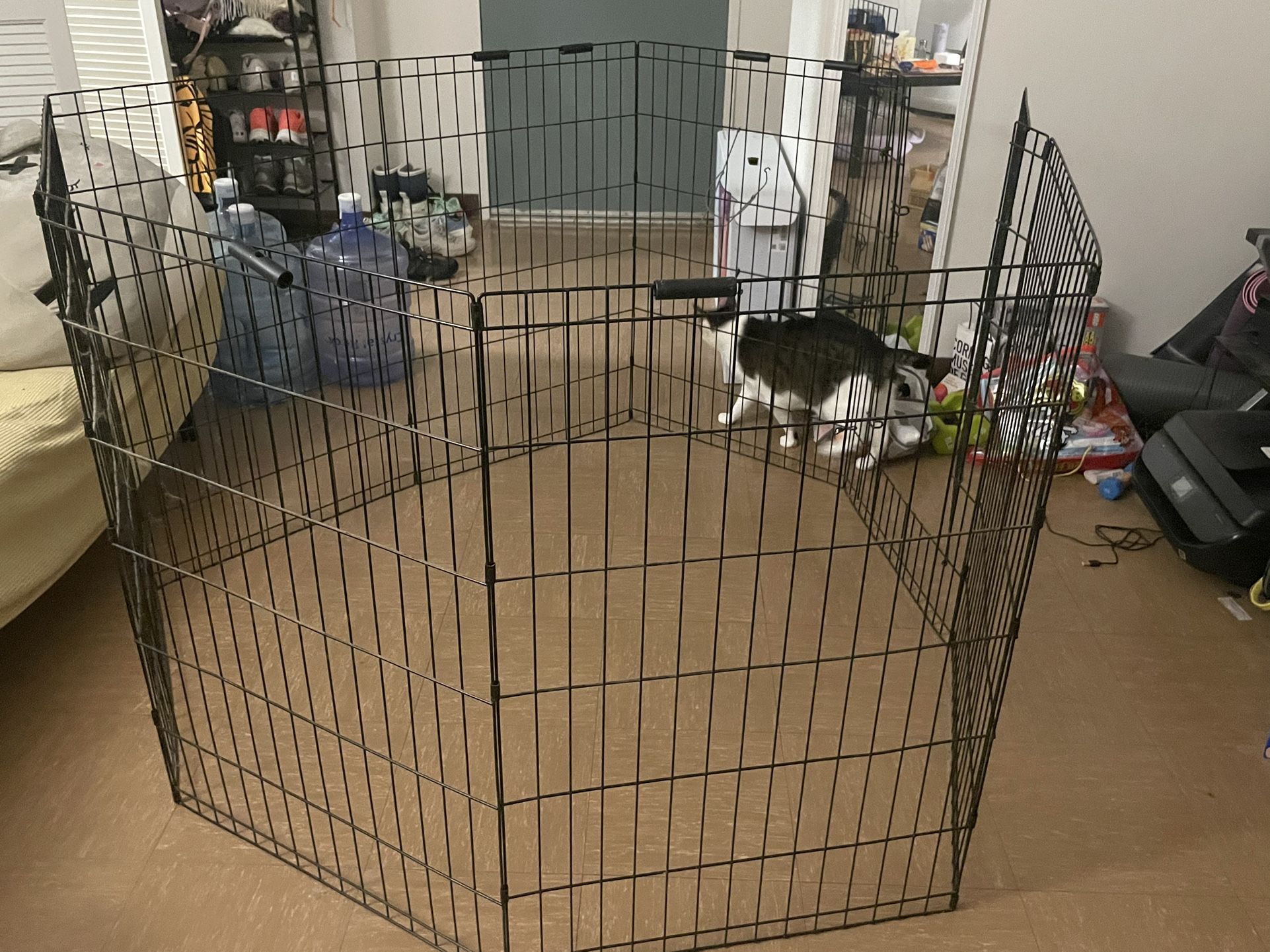rabbit cage