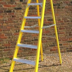 8 foot Stanley ladder