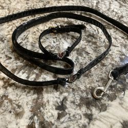 Black Leash And Collar Set For A Small Dog