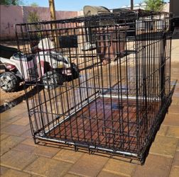 Kennel