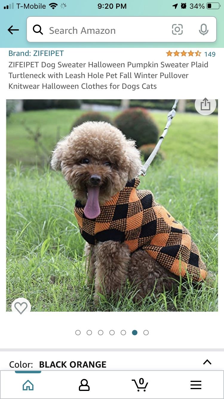 Dog Pumpkin Sweater
