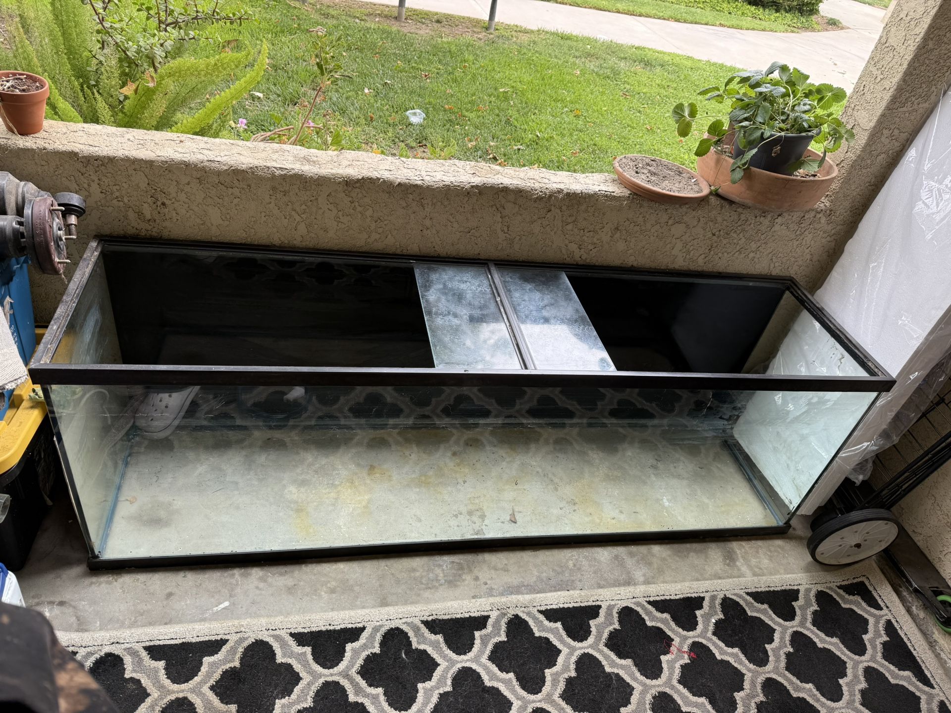 125 Gallon Used Fish Tank