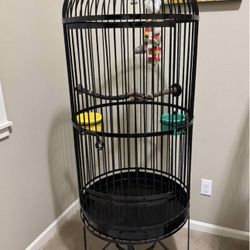Bird Cage 