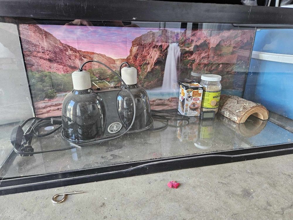 20 Gallon Tank With Light Housing With Background Asking $100 Cash For All