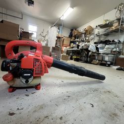 Echo Leaf Blower 