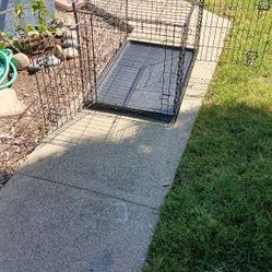  Dog Kennel