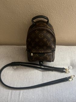 Louis Vuitton Palm Springs Mini