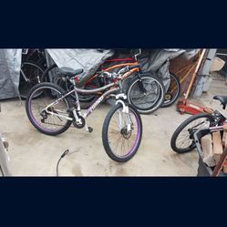 Mountain Bicycle 