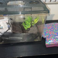 Fish Tank